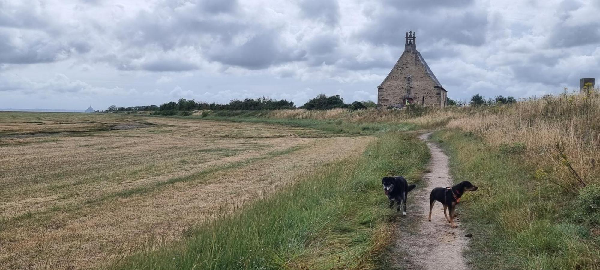 Chambres D'Hotes Ferme De La Baie Roz-sur-Couesnon Eksteriør billede